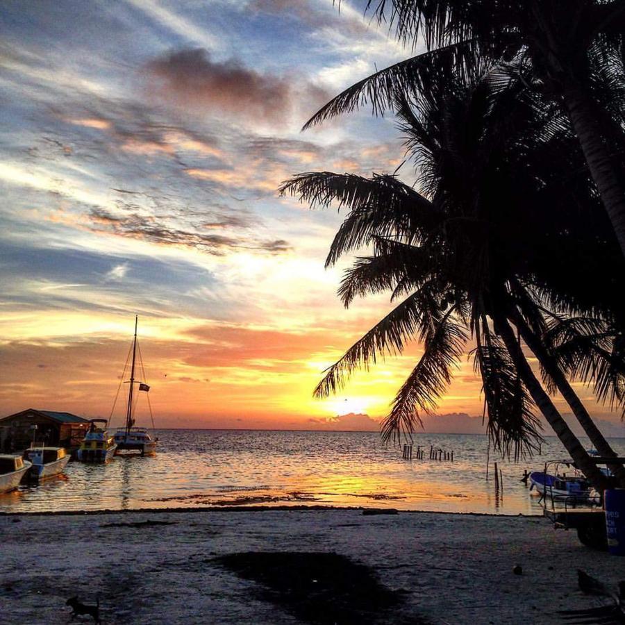 Go Slow Guesthouse Caye Caulker Eksteriør billede